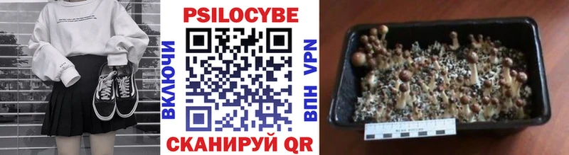Псилоцибиновые грибы Cubensis  Купить закладки  Котовск 
